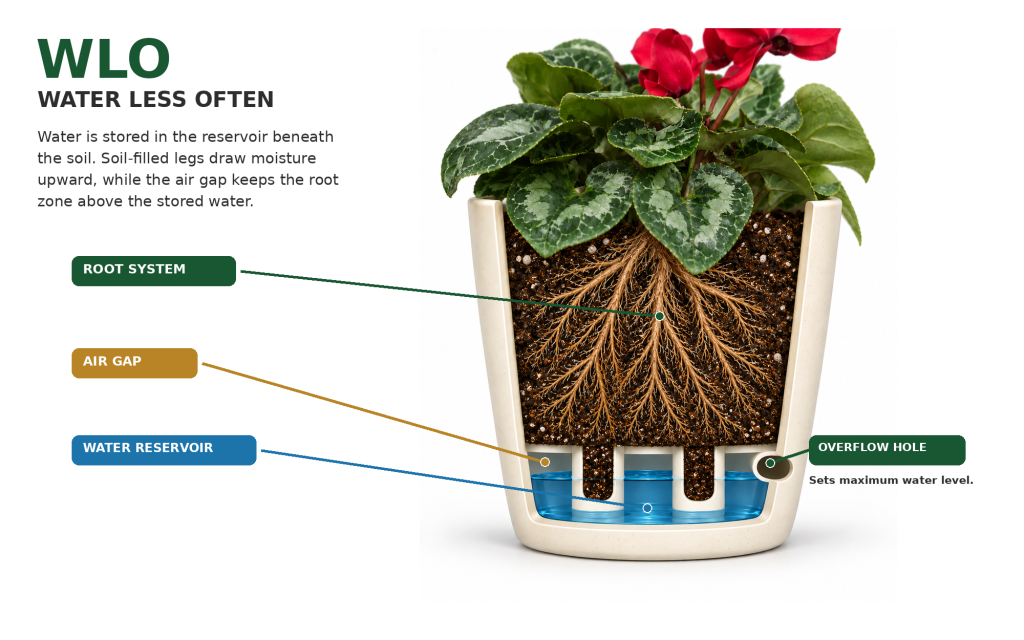 Bamboo Blooms WLO Water Less Often planter cutaway showing root system, air gap, water reservoir and overflow hole.