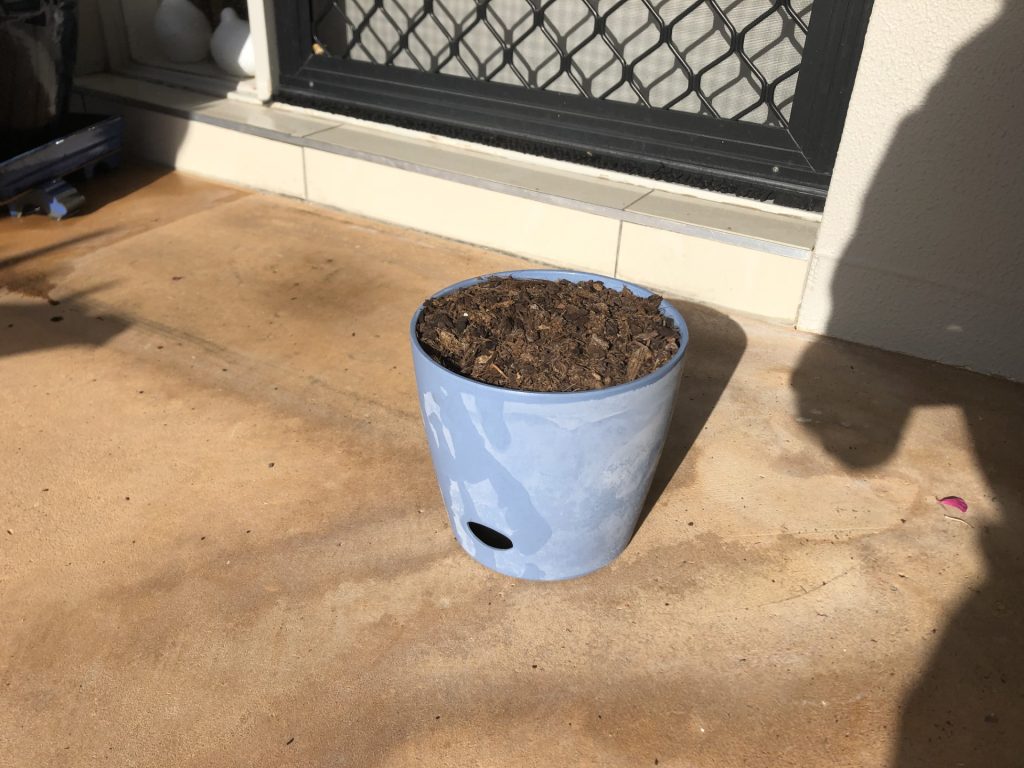 Bamboo Blooms planter during in-house durability test