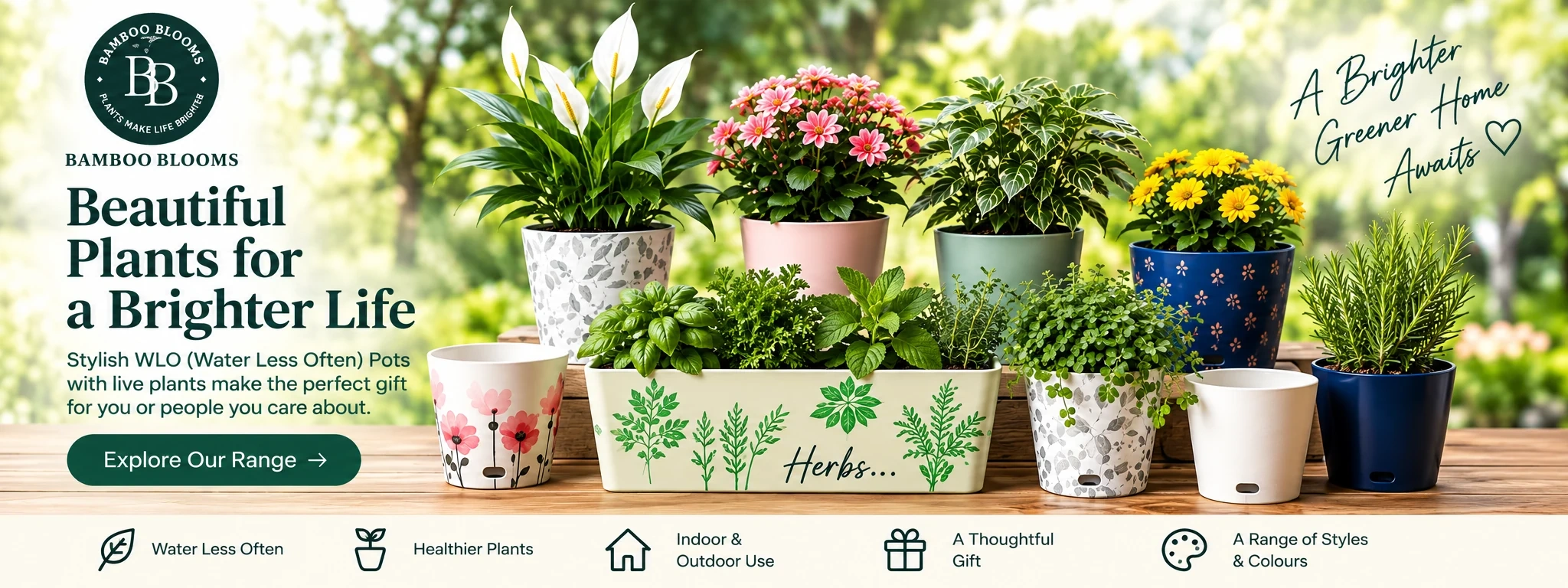 Bamboo Blooms WLO planters with live plants