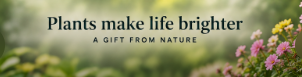 Bamboo Blooms website design reference showing plants make life brighter